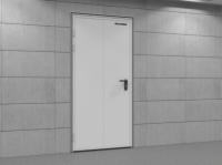 Дверь технологическая одностворчатая