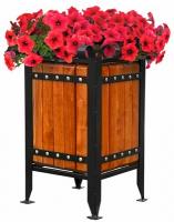 Вазон Сириус